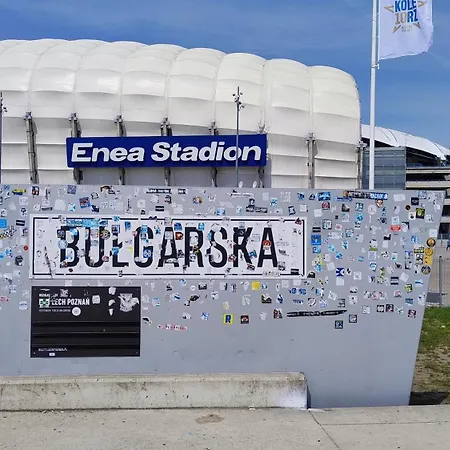 Self Check-in Lotnisko Blisko Stadion Targi Szpitale I Uczelnie *