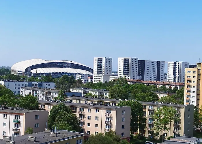 Self Check-in Lotnisko Blisko Stadion Targi Szpitale I Uczelnie