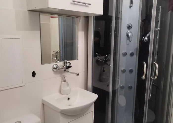 Apartment Self Check-in Lotnisko Blisko Stadion Targi Szpitale I Uczelnie Poznan